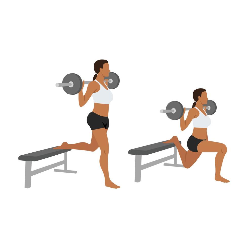 Woman doing Barbell bulgarian split squat exercise. Flat vector illustration isolated on white background