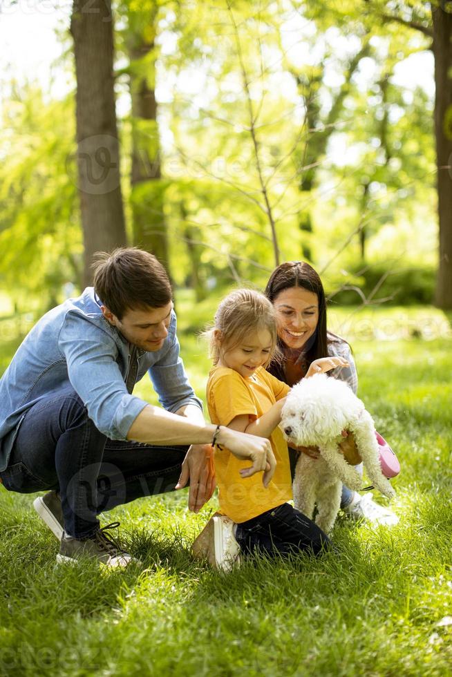 Beautiful happy family is having fun with bichon dog outdoors photo