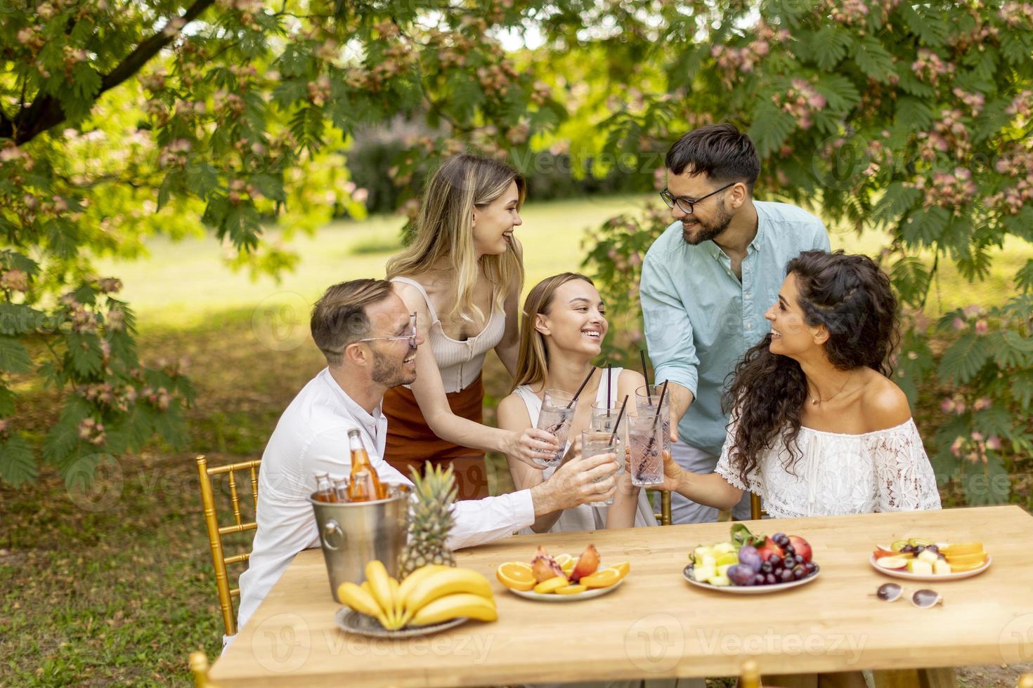 Group of happy young people cheering with fresh lemonade and eating fruits in the garden photo