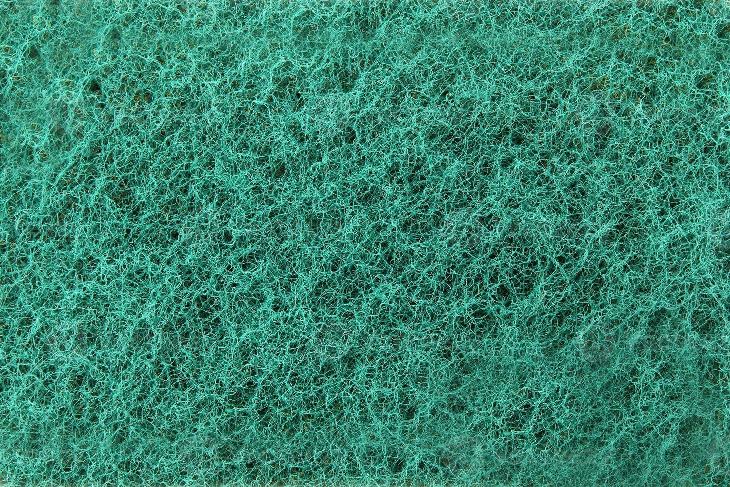 Sponge detail backdrop photo