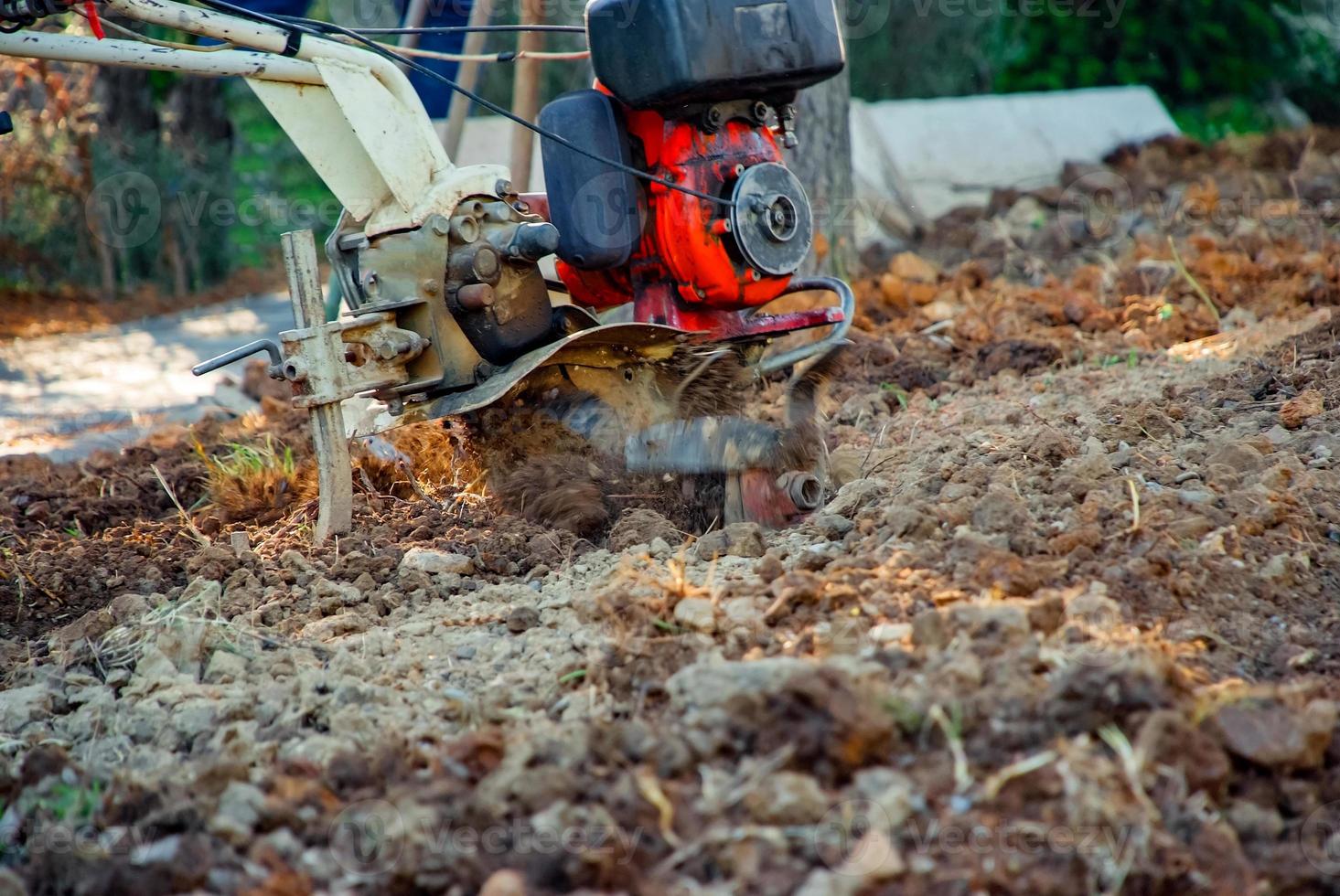 Detail from garden cultivating photo