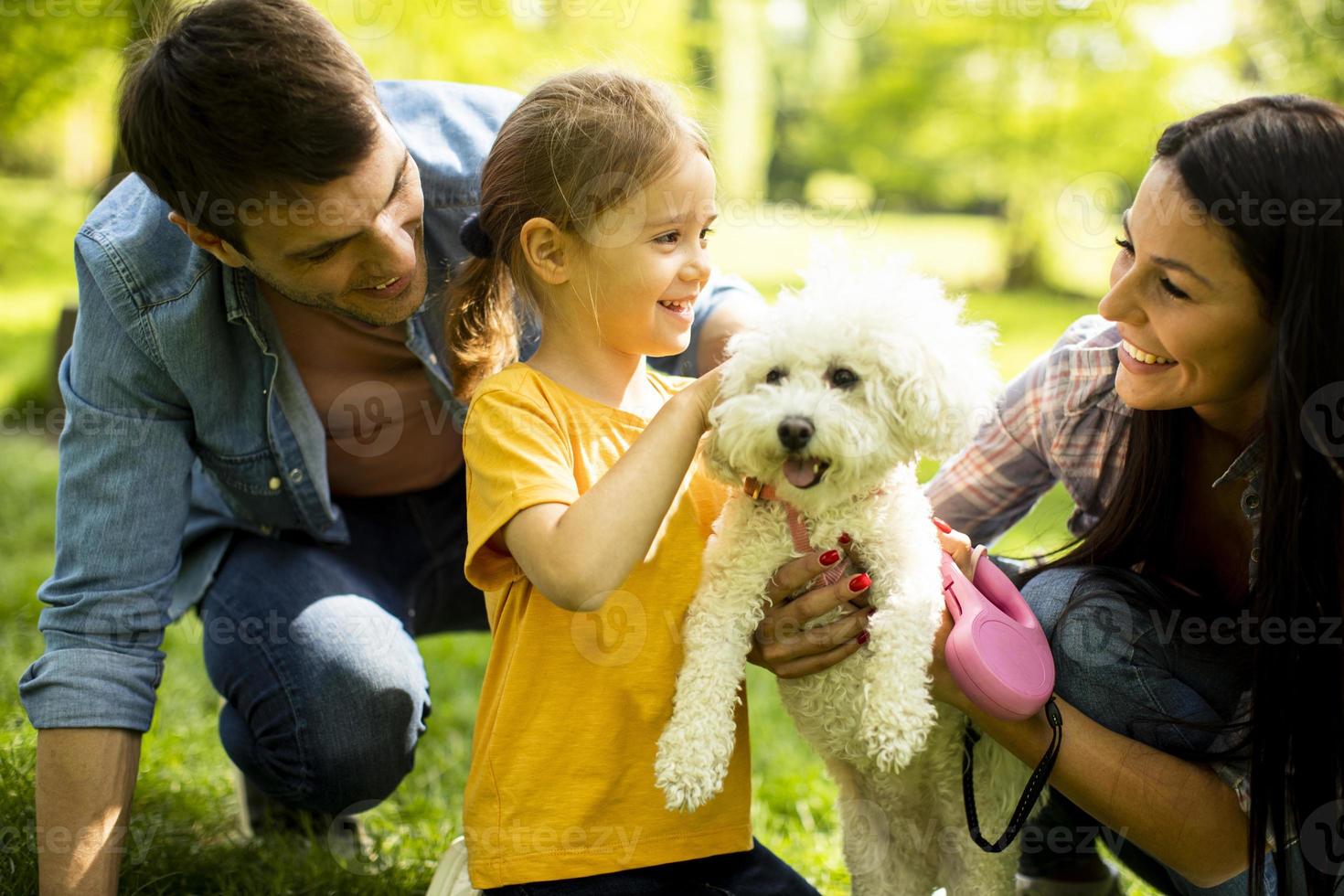 Beautiful happy family is having fun with bichon dog outdoors photo