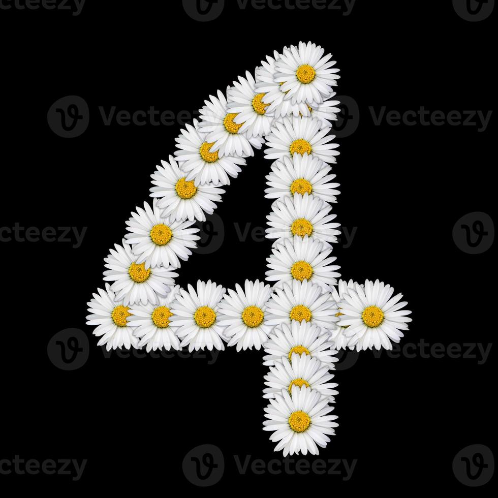Flower number on white background photo