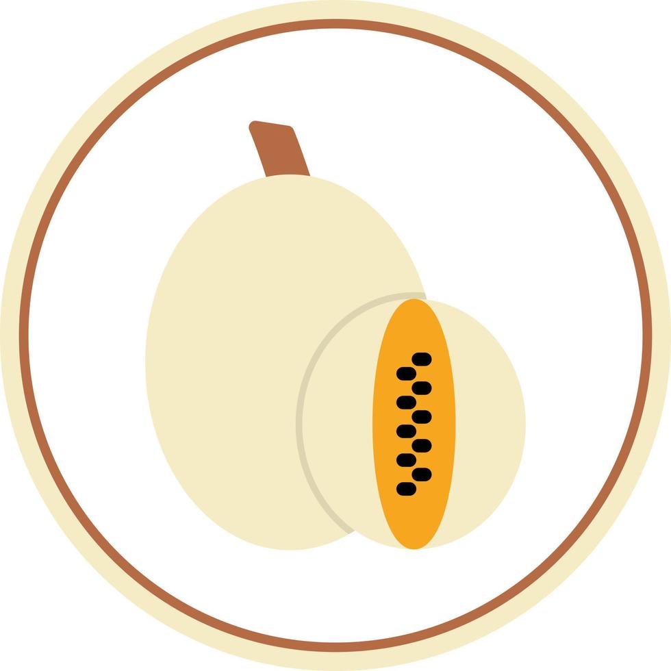 Rockmelon Vector Icon Design