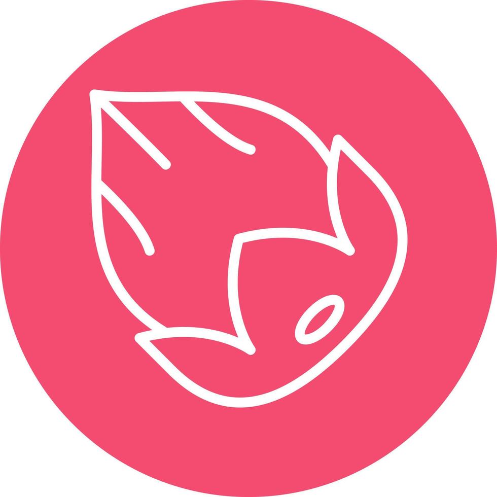 Hazelnut Vector Icon Design