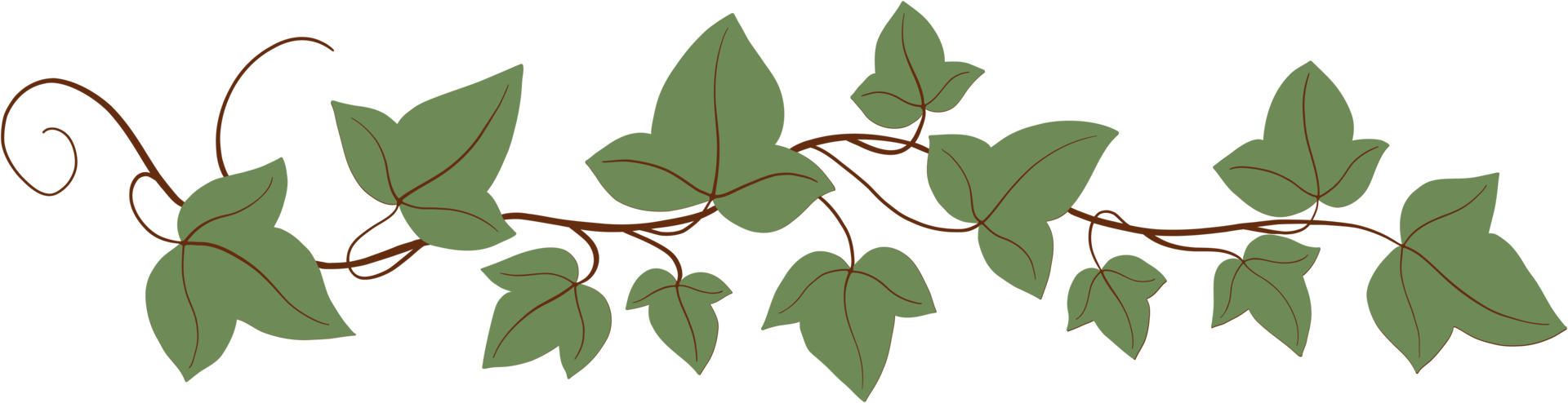 Simplicity ivy freehand drawing png