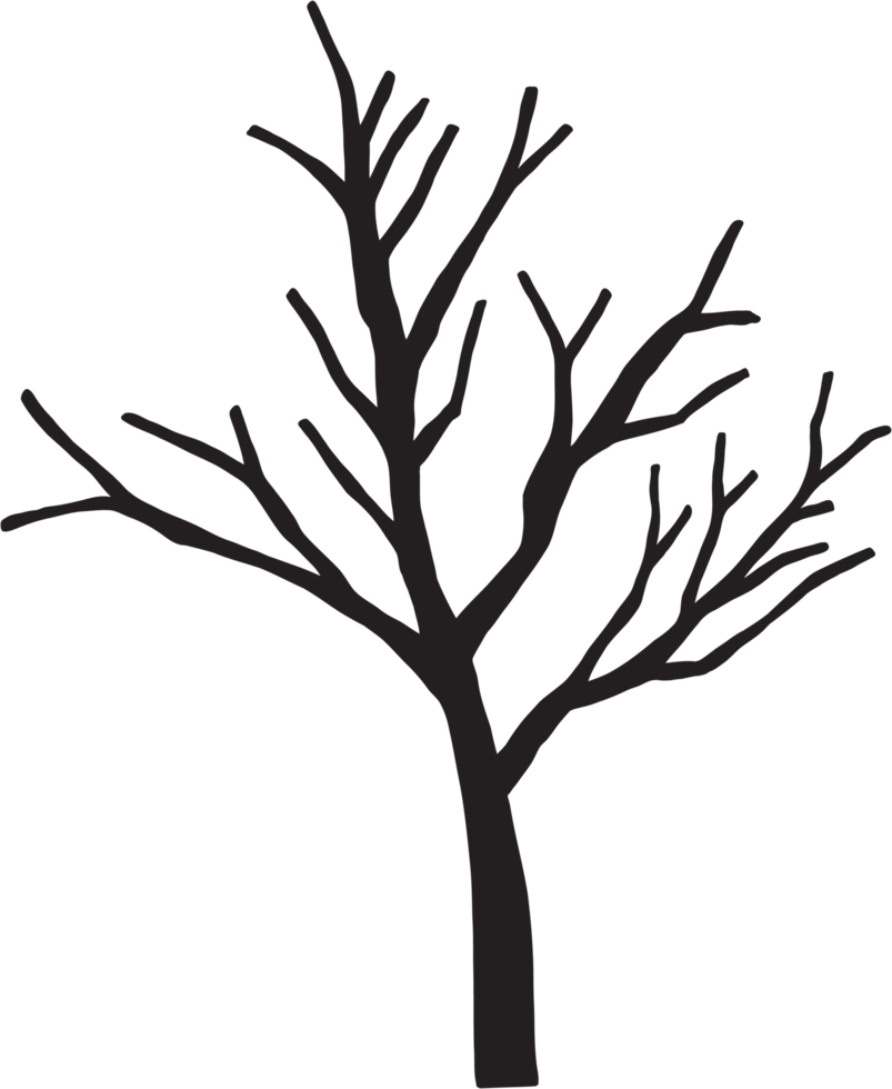 simplicity dead tree freehand drawing. png