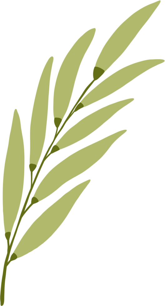 simplicity floral freehand drawing. png