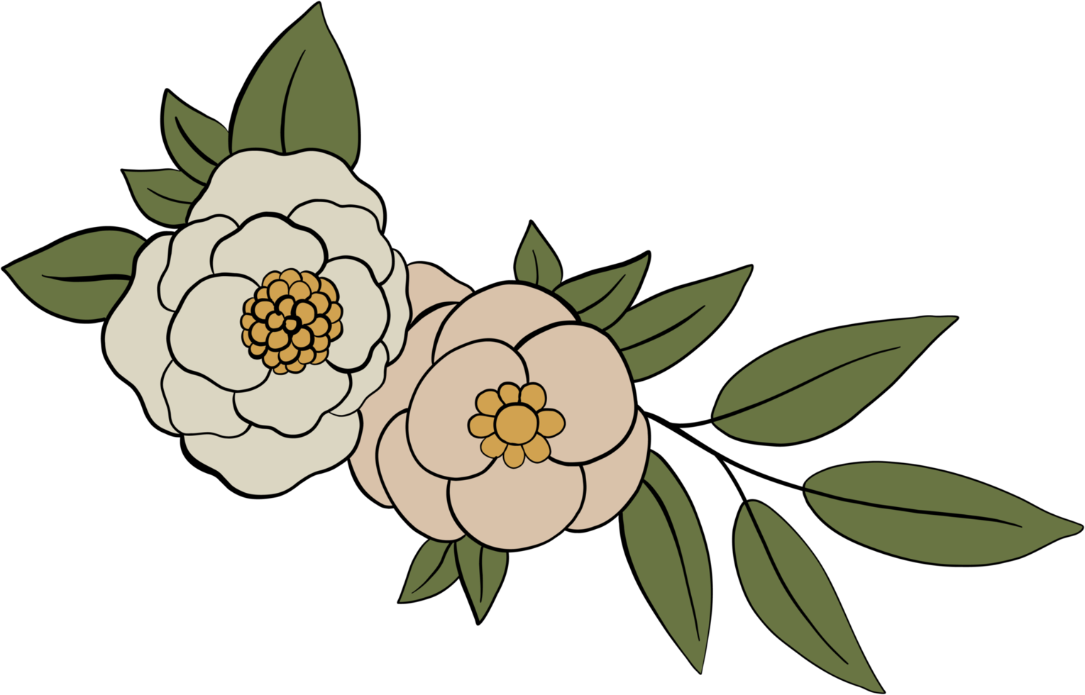 decorated floral drawing png