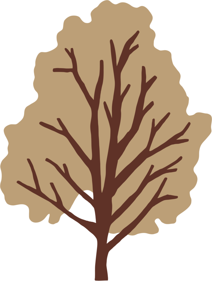 Einfachheit Baum Freihandzeichnen png