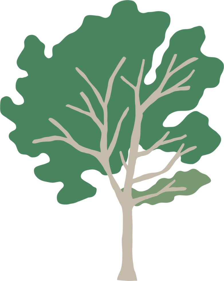 simplicity tree freehand drawing png