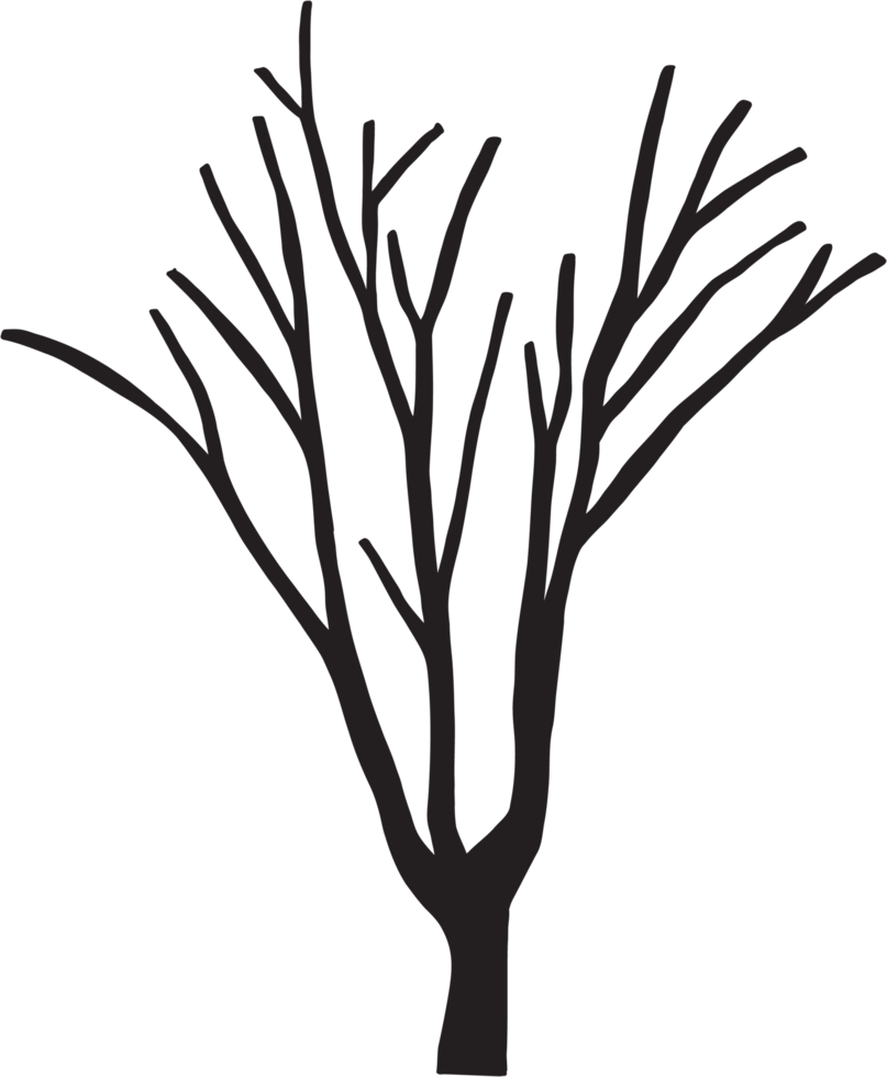 simplicity dead tree freehand drawing. png