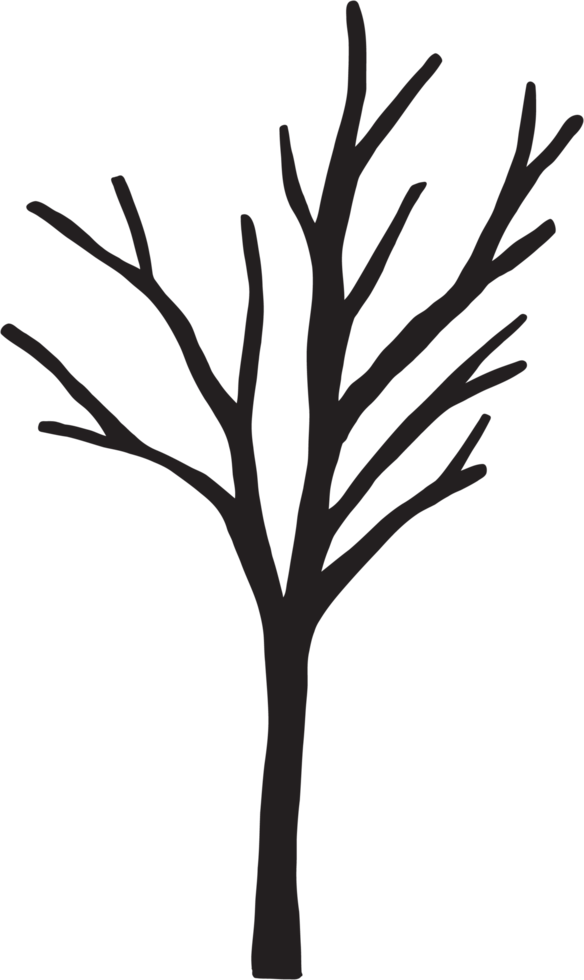 simplicity dead tree freehand drawing. png