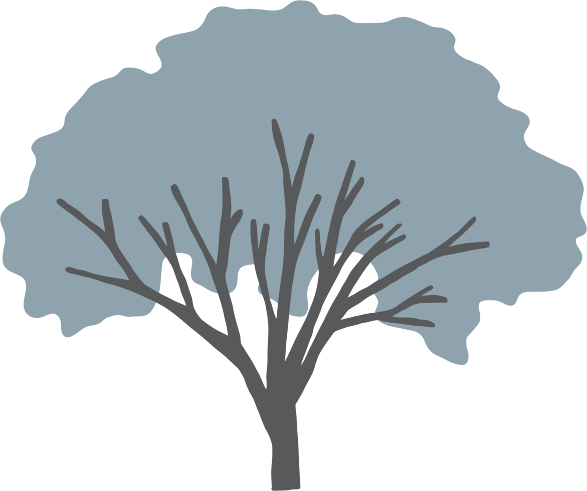 simplicity tree freehand drawing png