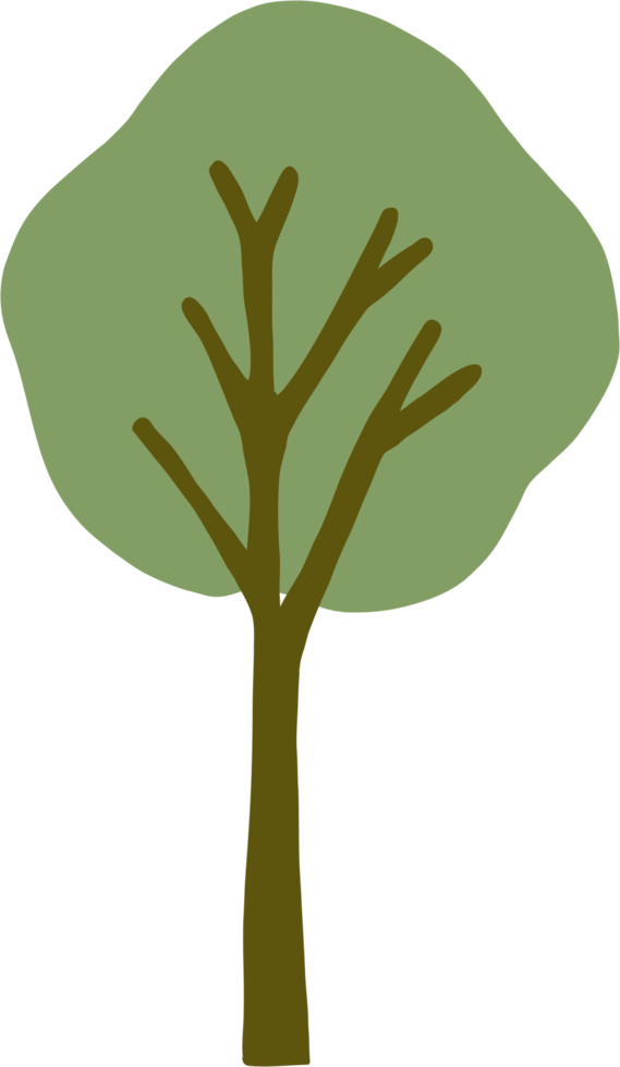 simplicity tree freehand drawing flat design. png