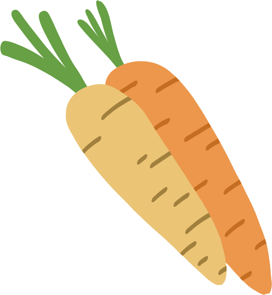 doodle freehand sketch drawing of carrot png