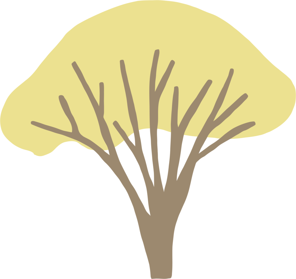simplicity tree freehand drawing flat design. png