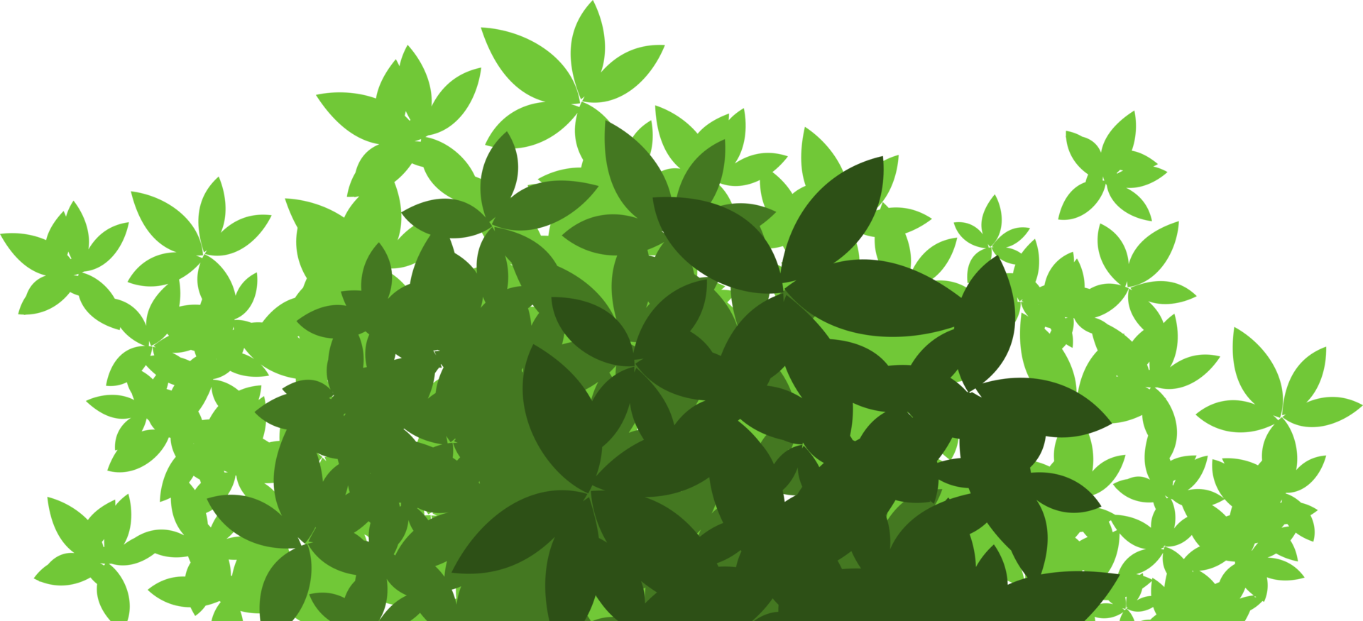 arbusto verde png