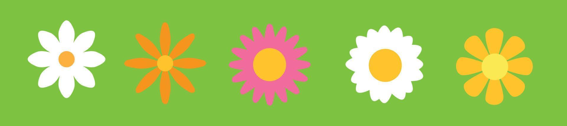 Set of  daisy chamomile illustration. Cute realistic flower plant icon collection. Different sorts of flower petal blossom vector