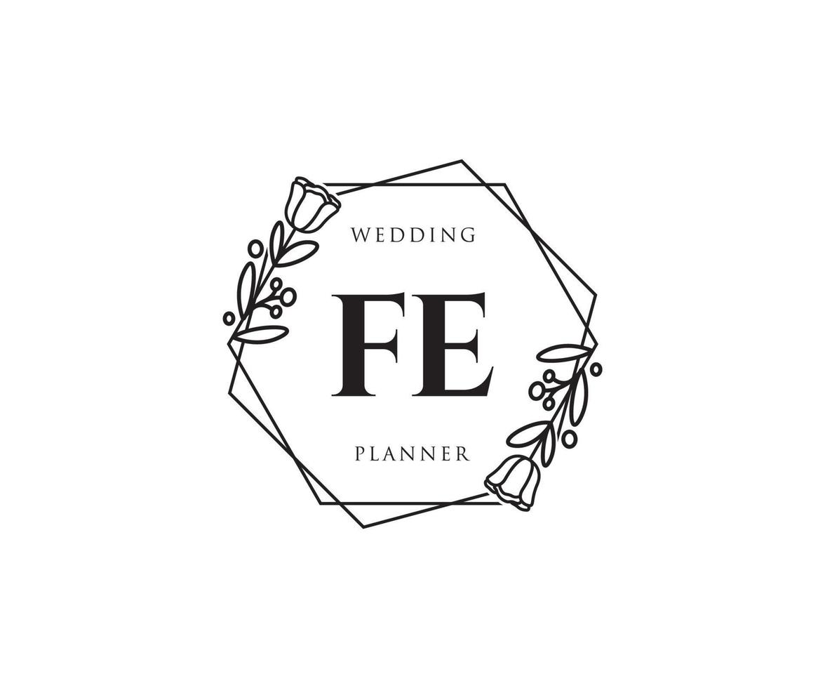 Initial FE feminine logo. Usable for Nature, Salon, Spa, Cosmetic and Beauty Logos. Flat Vector Logo Design Template Element.