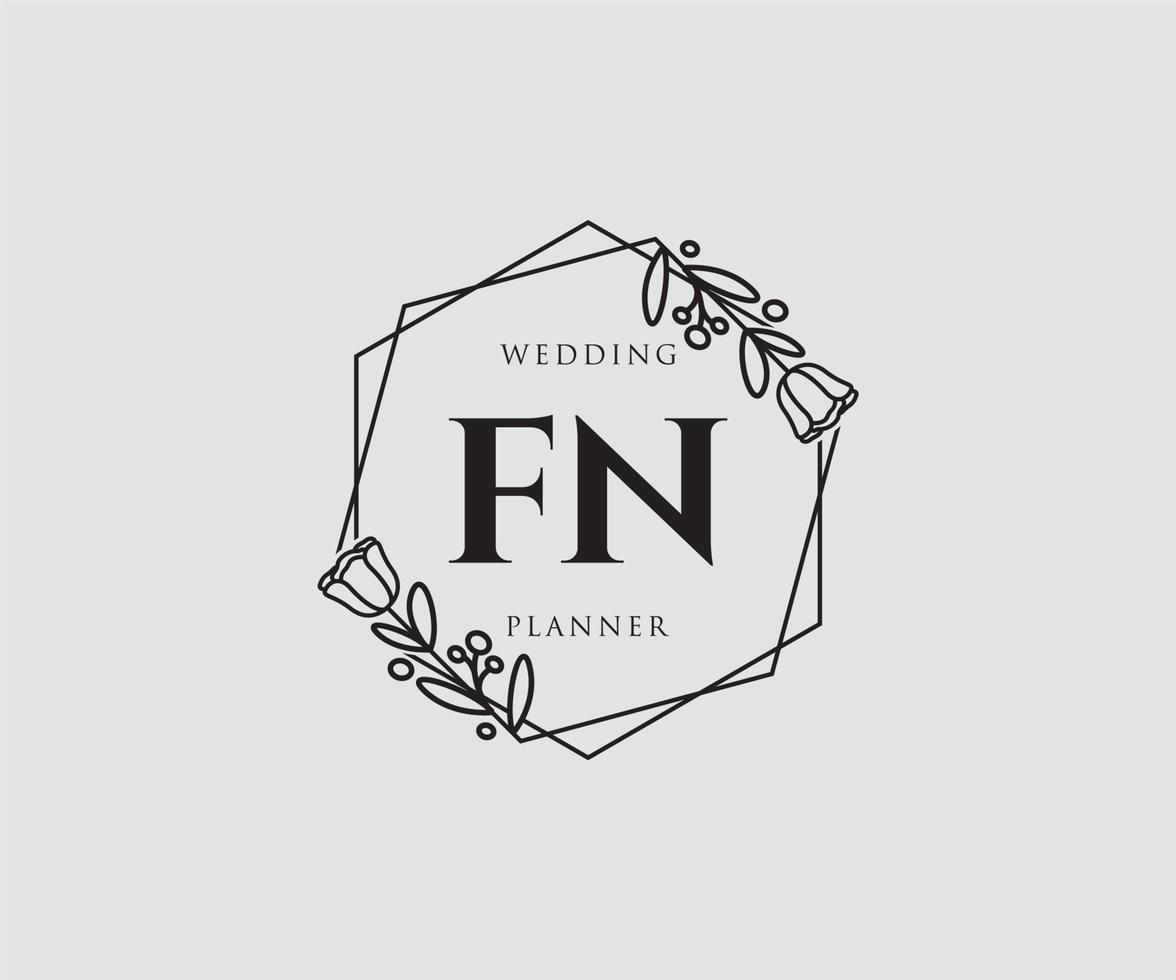 Initial FN feminine logo. Usable for Nature, Salon, Spa, Cosmetic and Beauty Logos. Flat Vector Logo Design Template Element.
