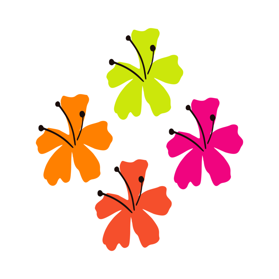 Floral with tobs illustration isolated on png Transparent background