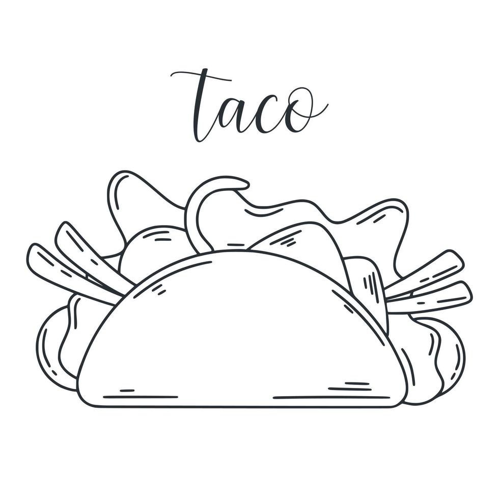 Taco doodle illustration. Ink sketch of stuffed tartilla vector