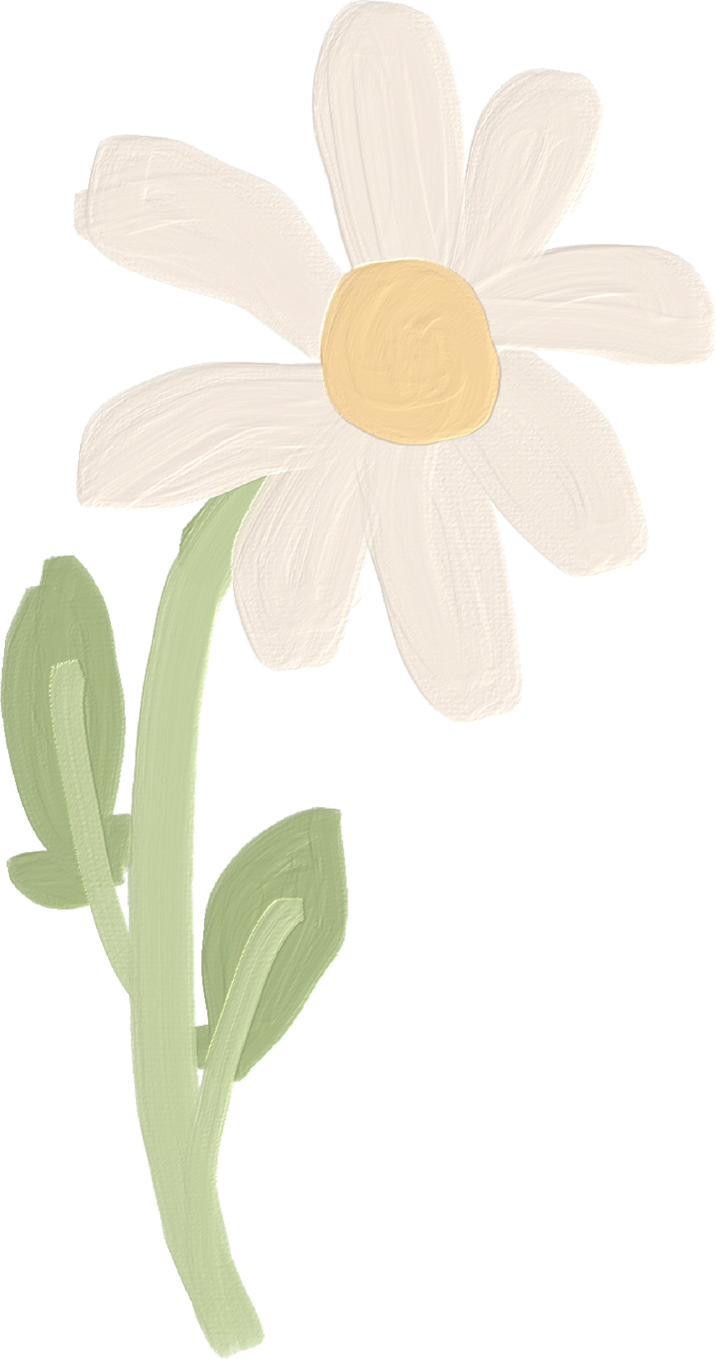 white daisy cute kid style oil paint 15723615 PNG