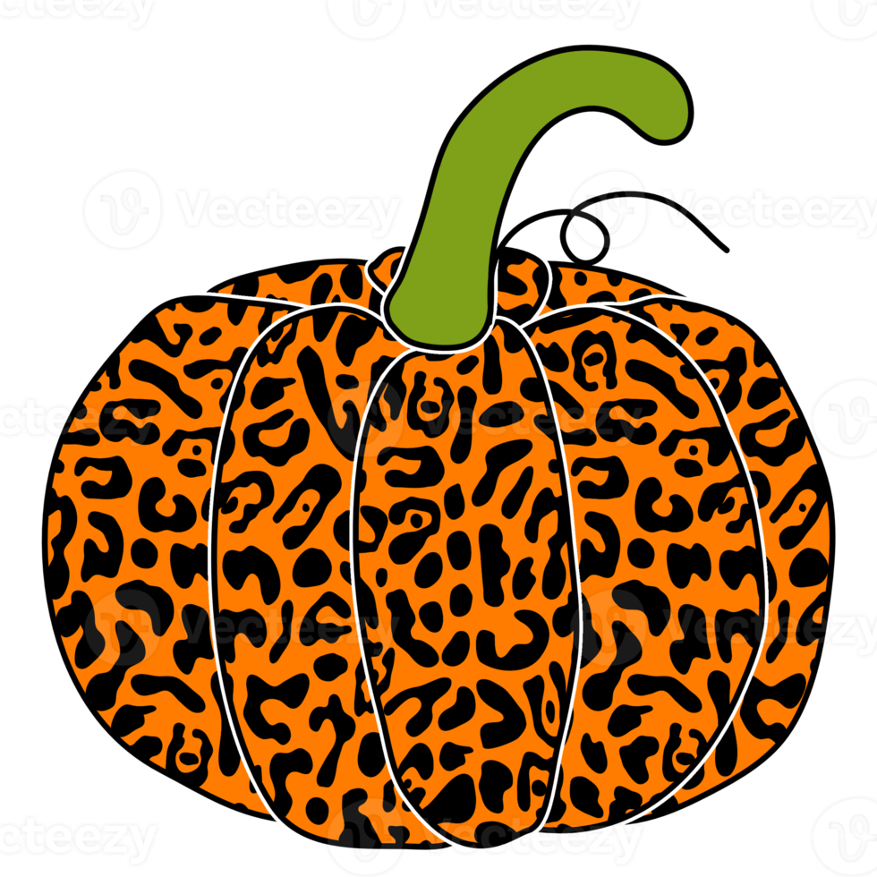 Pumpkin Leopard Cheetah Sublimation,orange png