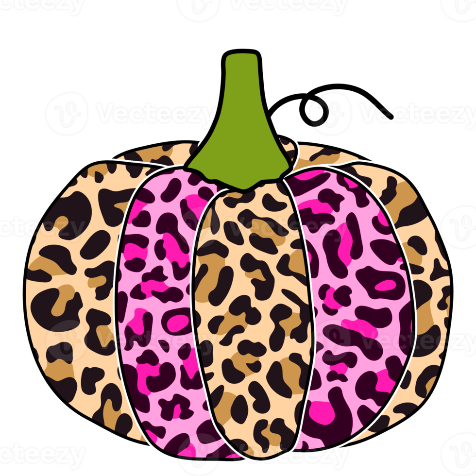 Pumpkin Leopard Pink Sublimation Decoration png