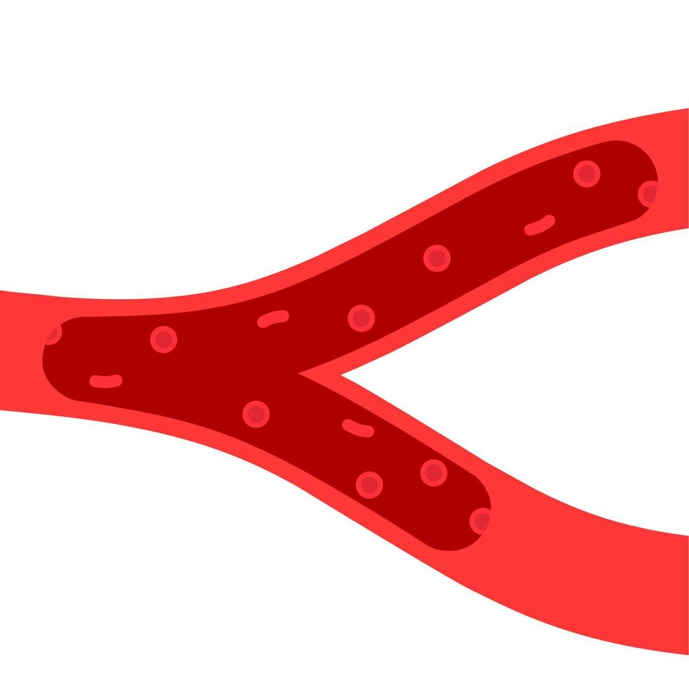 ilustración vectorial del sistema circulatorio sobre fondo blanco. falta de recuento de glóbulos rojos. concepto de amemia. vector