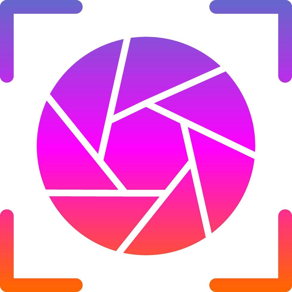 Camera Frame Flat Icon vector
