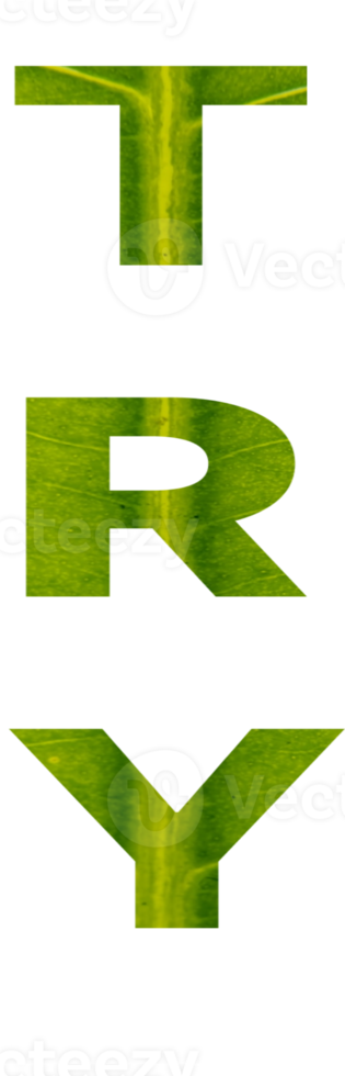 try word design. png