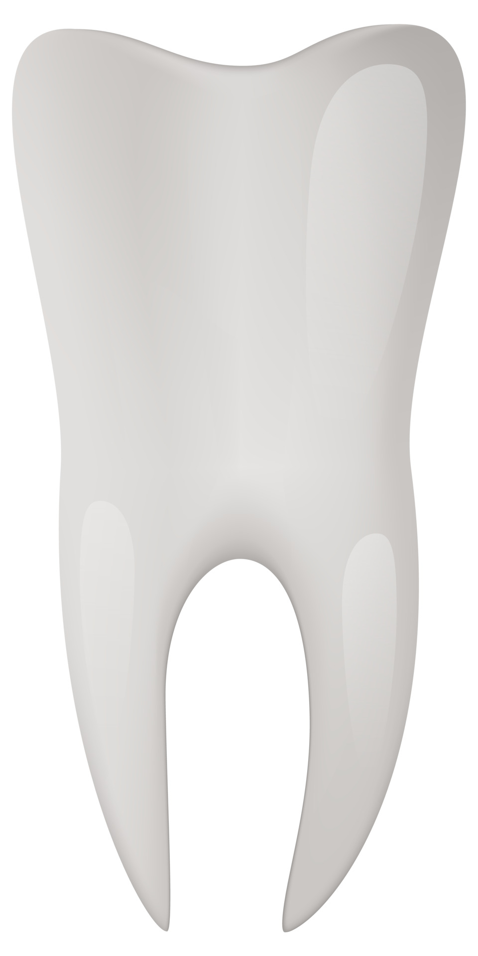 Realistic tooth isolated 15730443 PNG