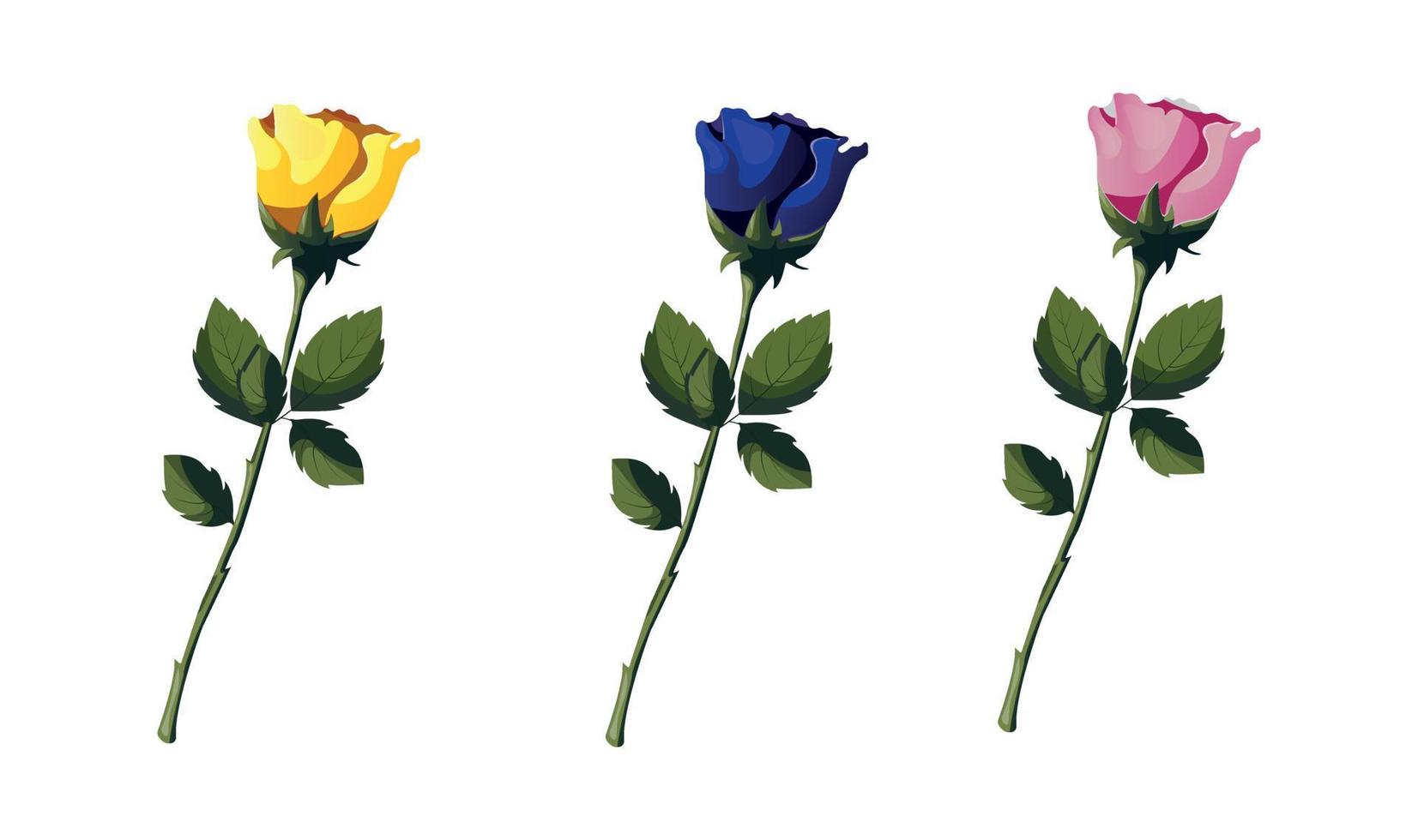 Set of white, yellow and blue roses on the white background. Isolated vector illustration for card, invitation, cover, design projects.