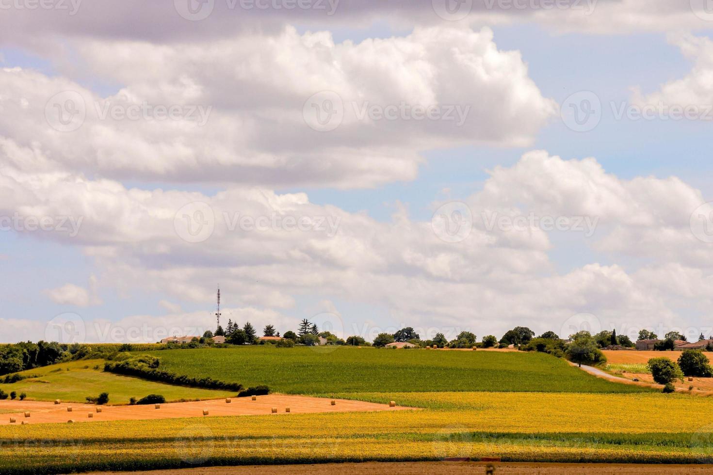 paisaje en verano foto