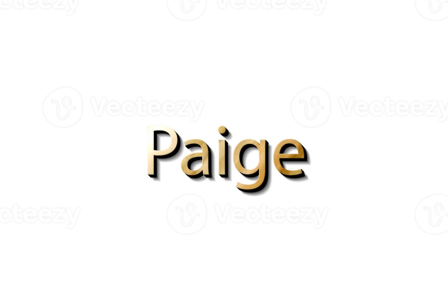 PAIGE 3D NAME png