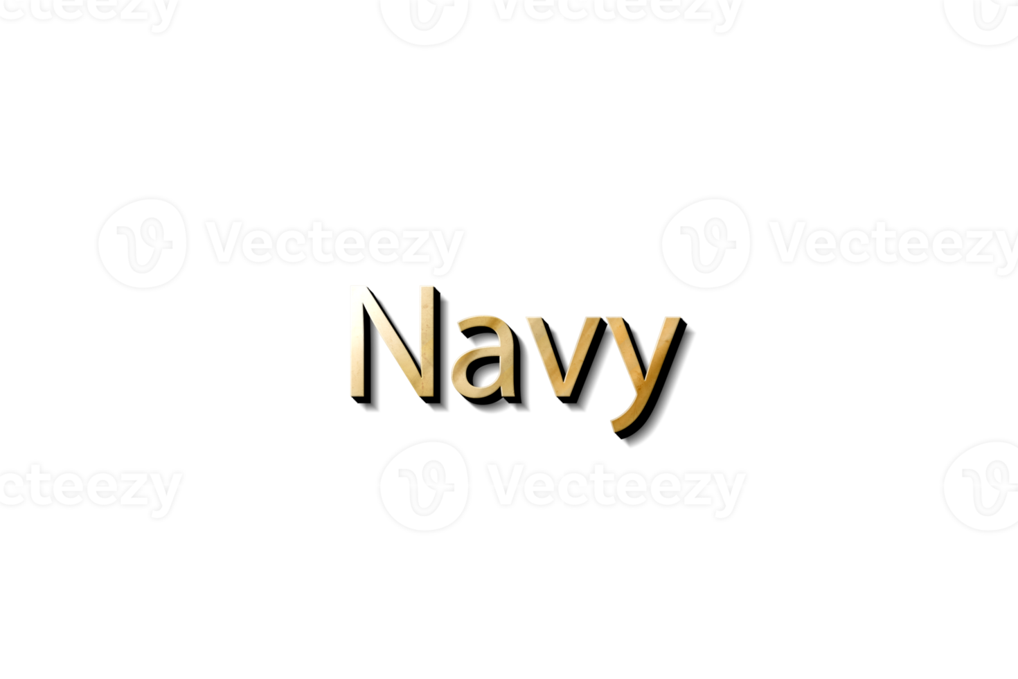 NAVY 3D NAME png