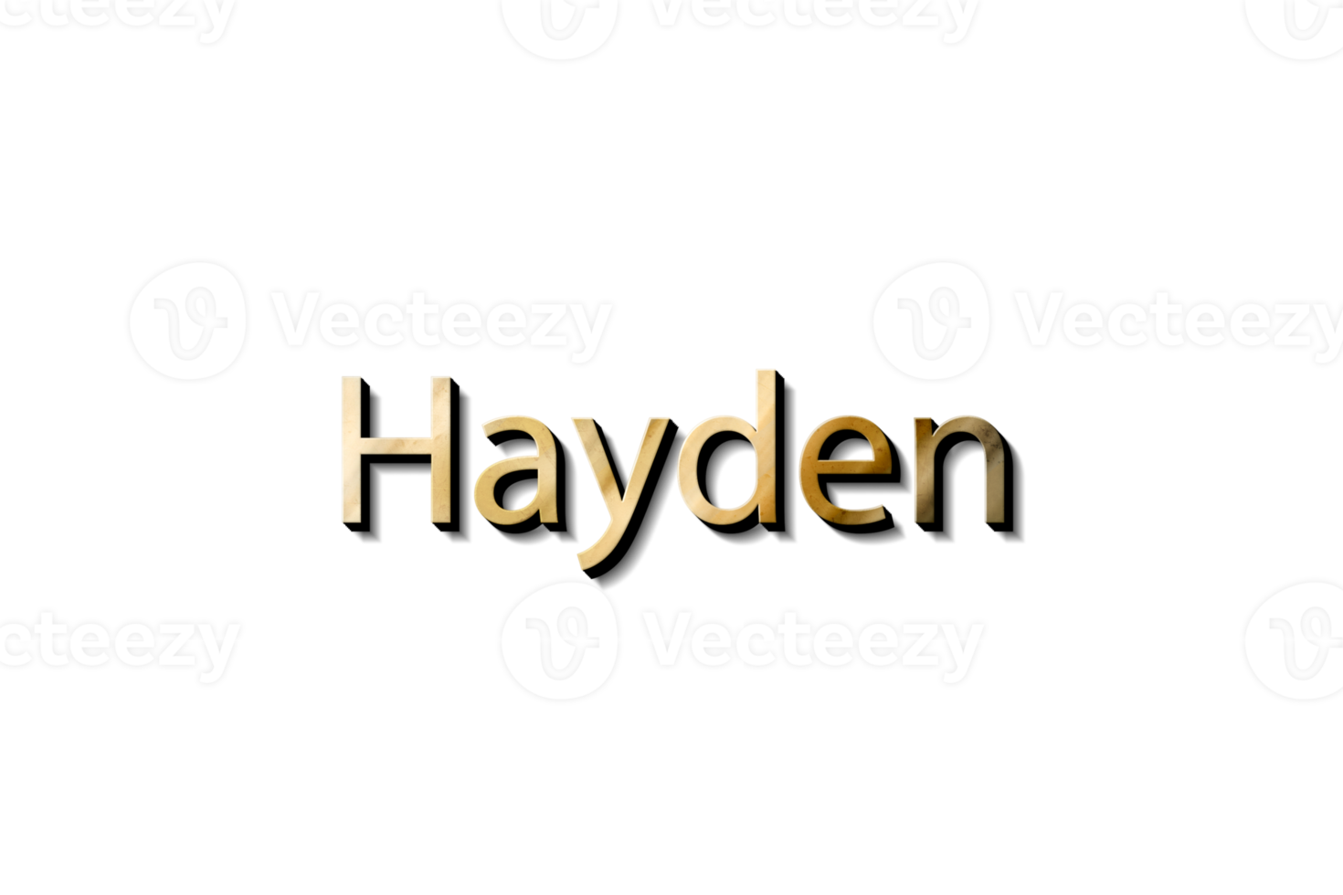 HAYDEN 3D NAME png