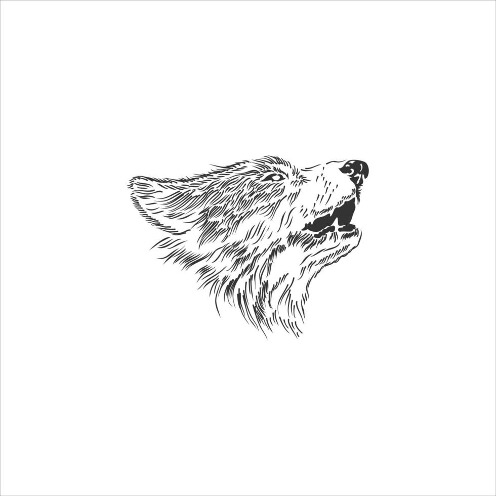 vector de ilustración de dibujo de lobo