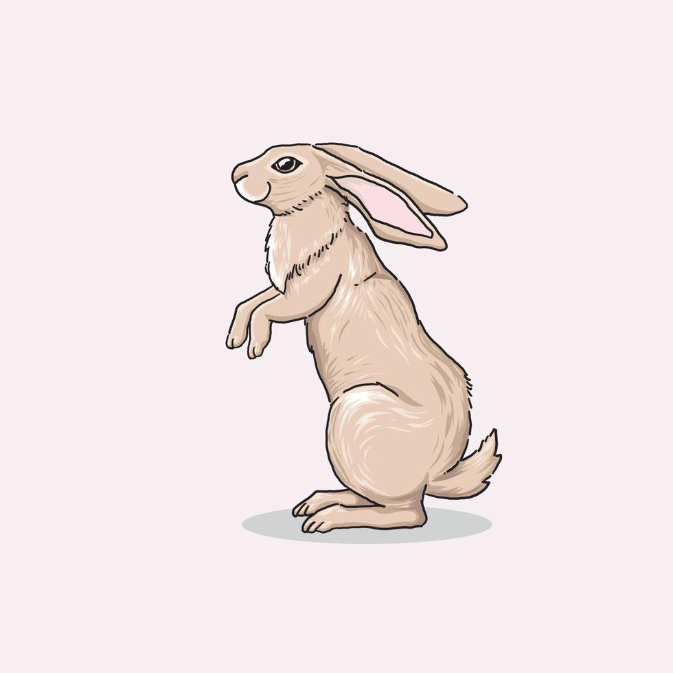 hand  drawn standing Cute Rabbit Illustration vector