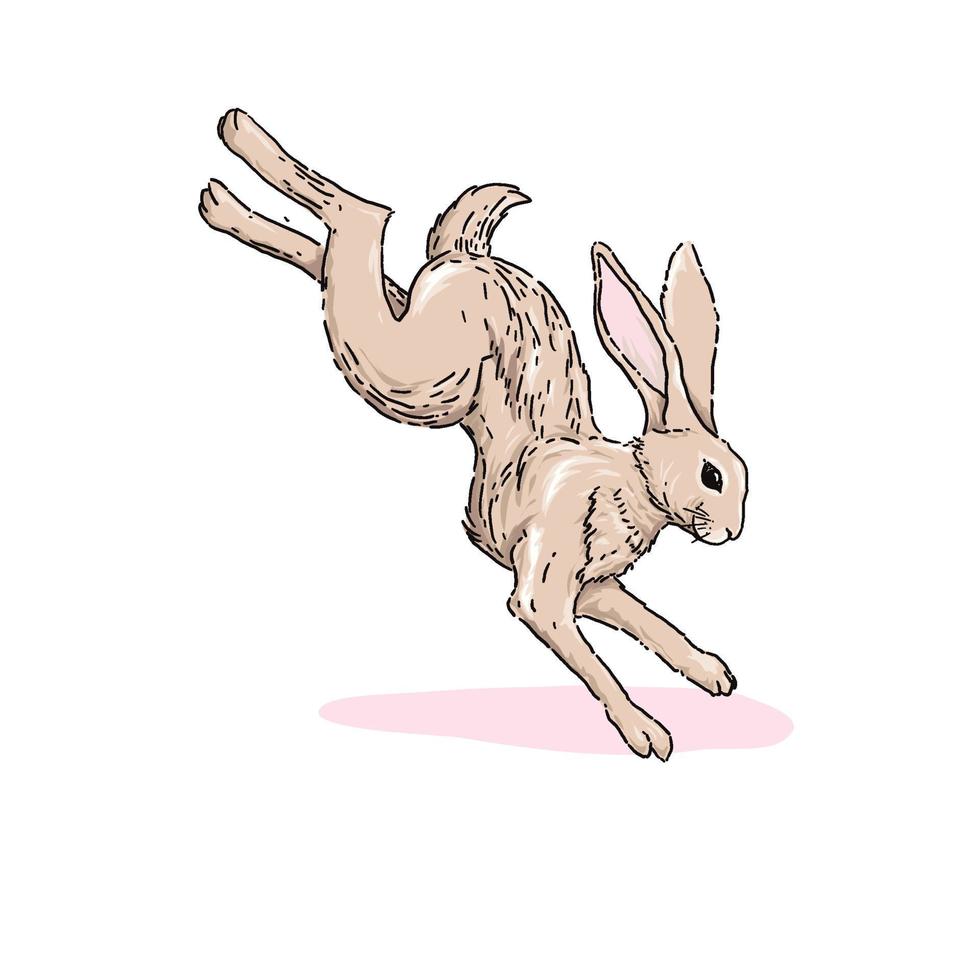 hand  drawn running Cute Rabbit Illustration, vector