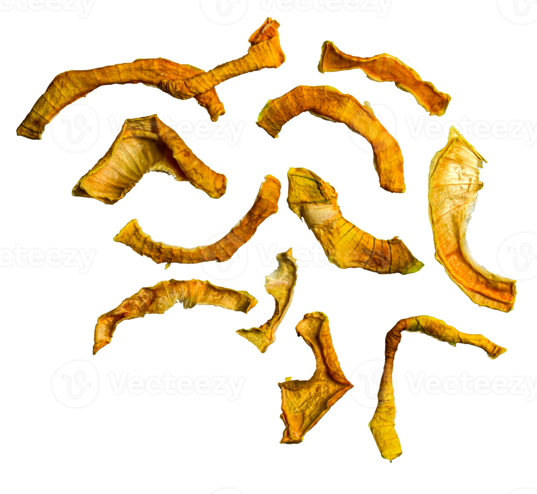 Dried onion or crunchy crunchy onion chips. Traditional seasoning in various culinary recipes. Food background. png
