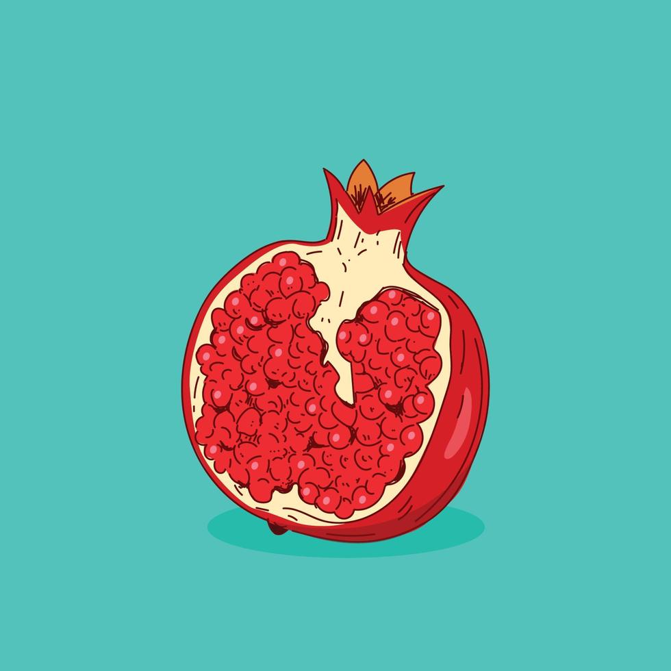 Granada ilustración vectorial dibujada a mano con hoja. fruta entera de granada roja aislada y media rebanada. vector