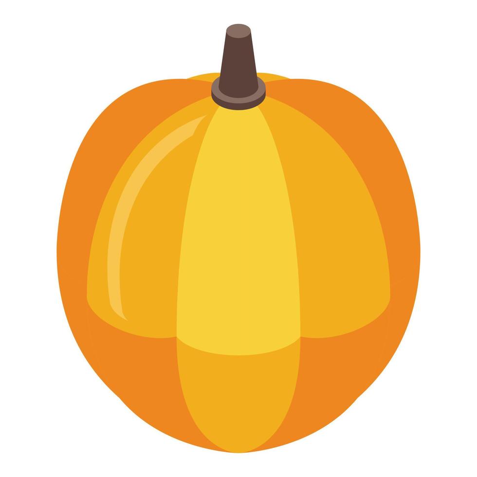 Ripe pumpkin icon, isometric style vector