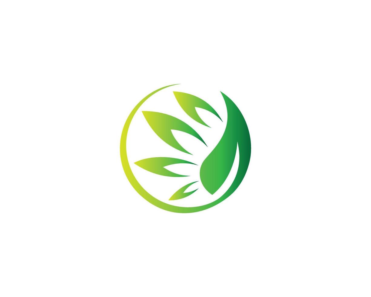 Creative Green Leaf Ecology Nature Element Vector Icon Logo Design Template.