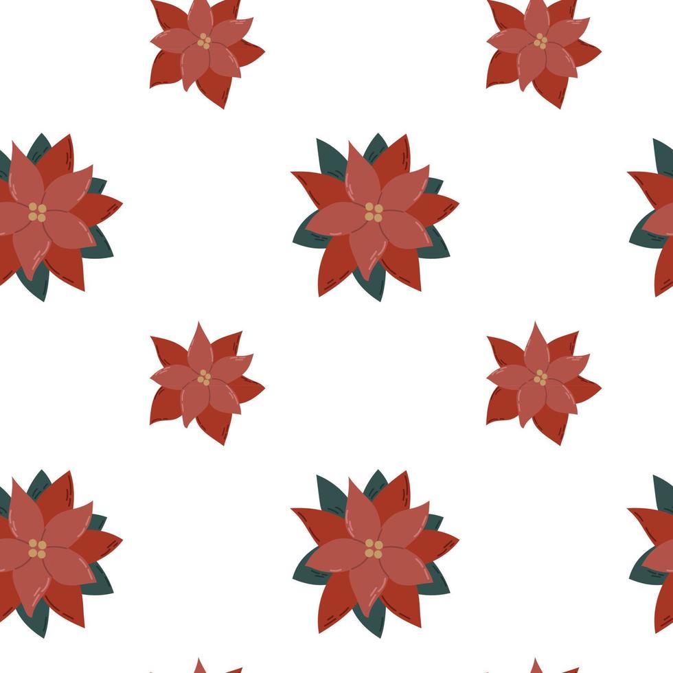 Seamless pattern of Christmas poinsettia on white background vector