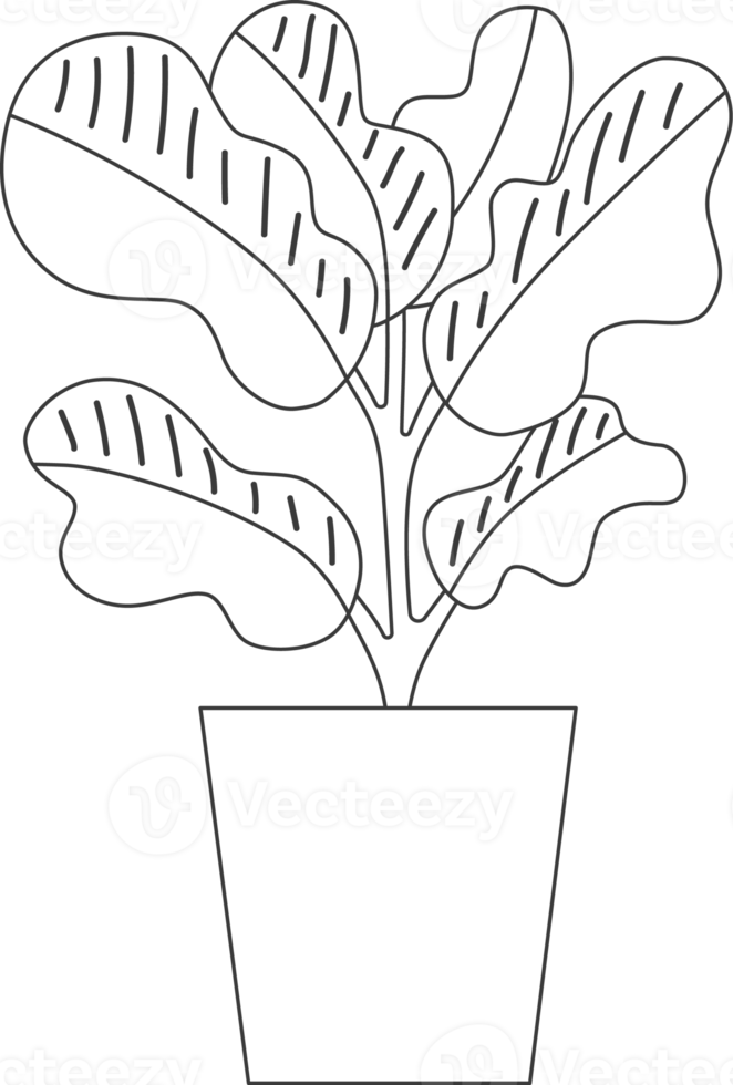 Minimal style potted plants, drawing for coloring. png
