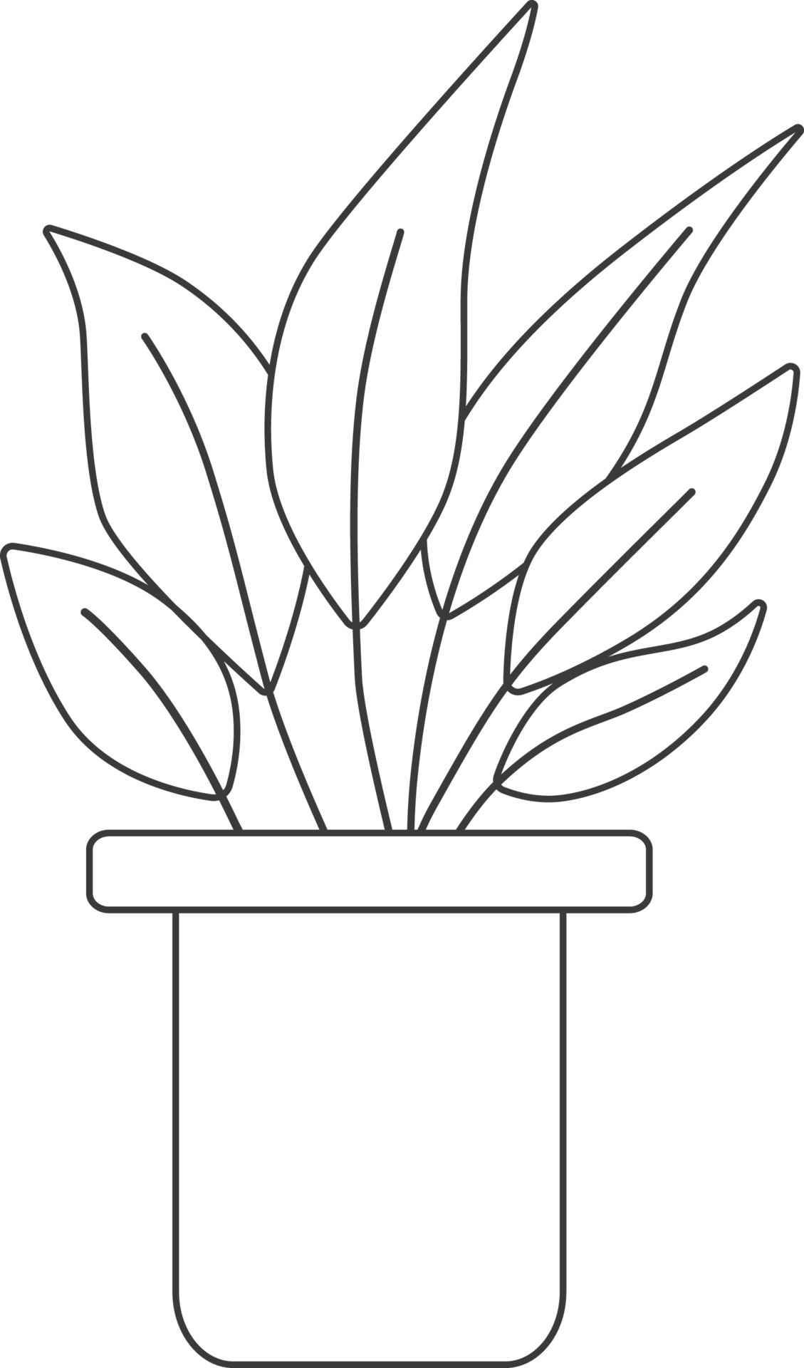 Plants In Pots Drawing For Coloring 15735865 PNG plants-in-pots-drawing-for-coloring-15735865-png
