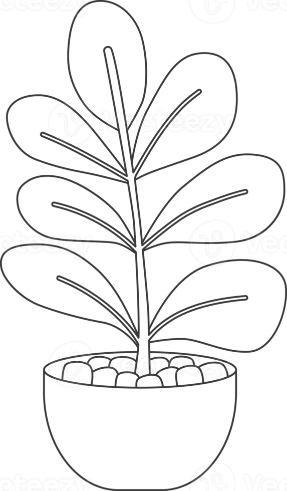 Free plantas en macetas, dibujo para colorear. 15735866 PNG with Transparent Background Free plantas en macetas, dibujo para colorear. 15735866 PNG with Transparent Background